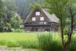 23 (2000x1334) (1800x1201).jpg